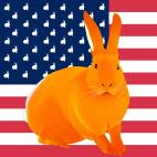 ORANGE-FLAG GOLD FLAG lapin drapeau Showroom - Inkjet sur plexi, éditions limitées, numérotées et signées .Peinture animalière Art et décoration.Images multiples, commandez au peintre Thierry Bisch online